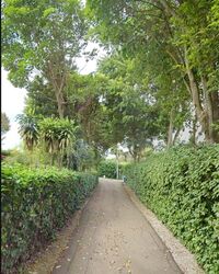Duchess Avenue (D10), Detached #496788641